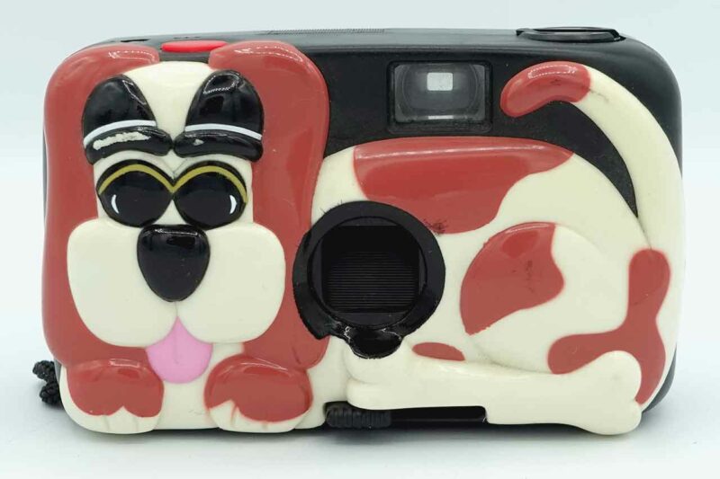 animal dog camera 0