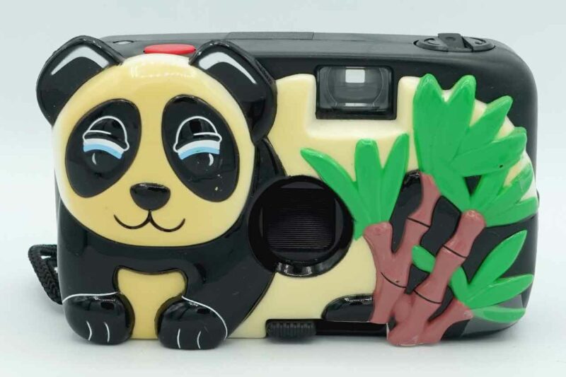 animal panda camera 1